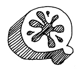 Quirk Books Logo