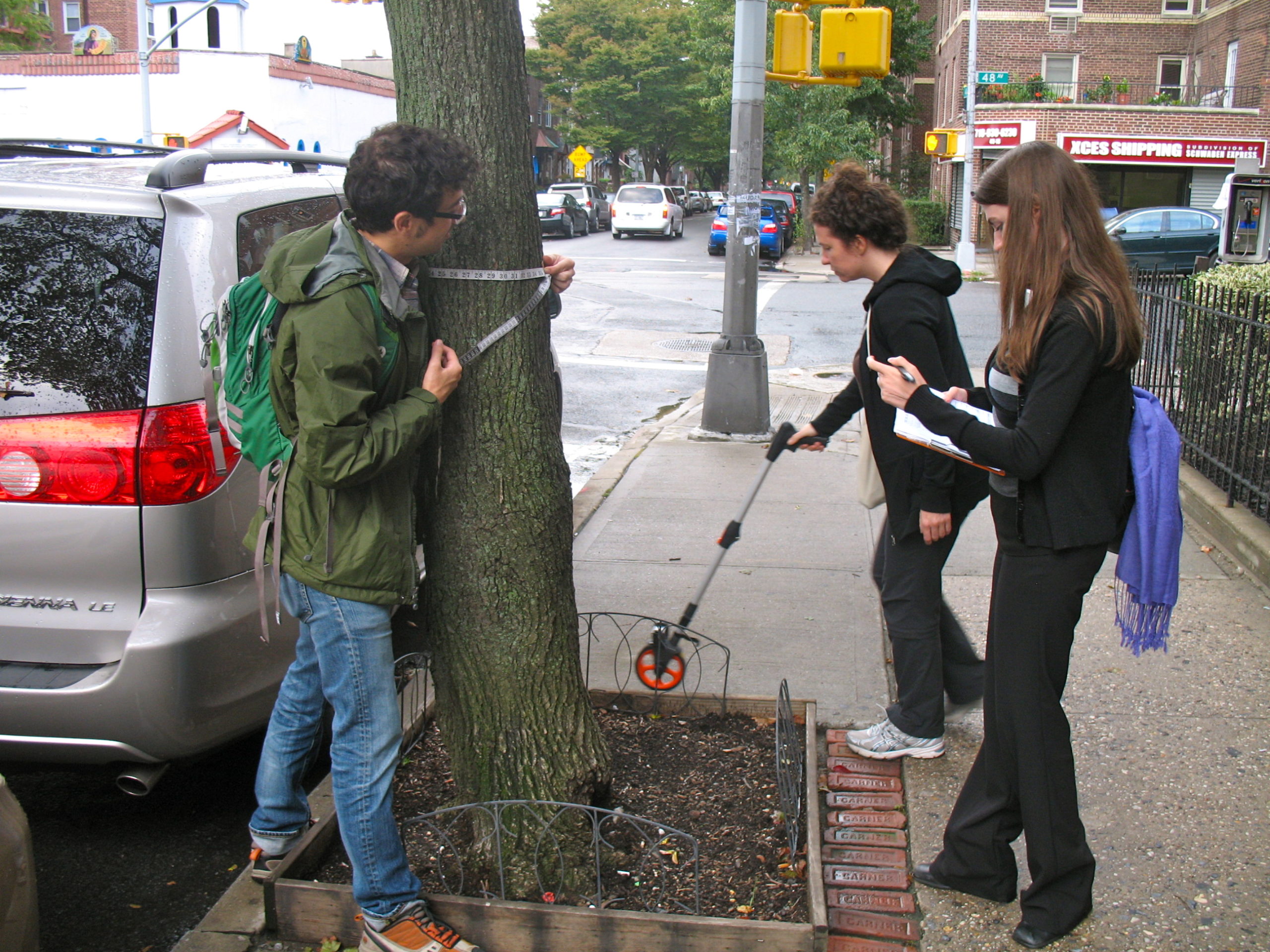 TreeKIT volunteers in action
