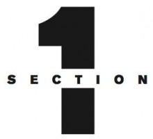 Section1 Logo