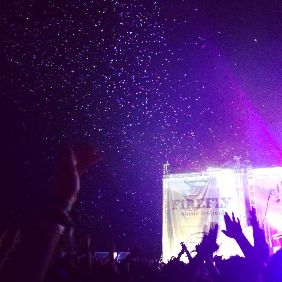 The 2014 Firefly Music Festival in Dover.