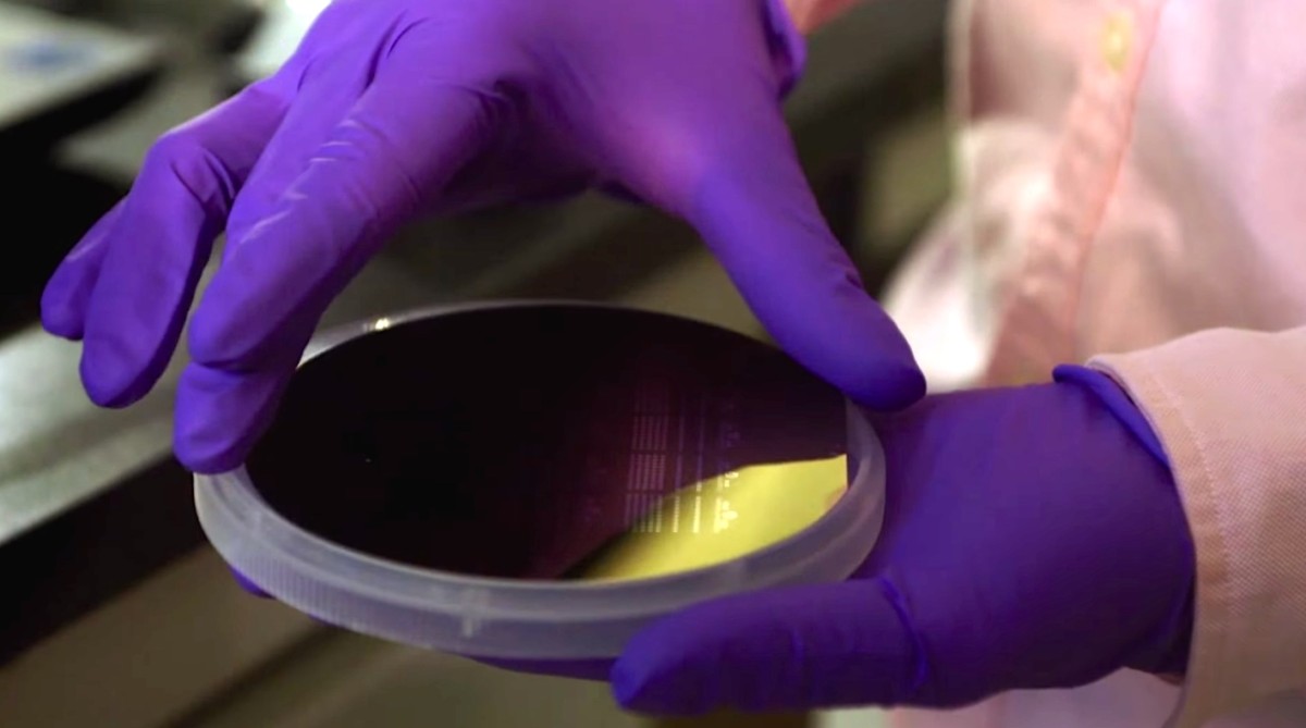 Graphene Frontiers’ sensor chips on a silicon wafer.
