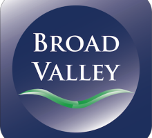 Broad Valley Microfiber Networks, Inc. Logo