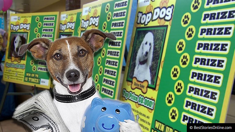 A dog who won the lottery, according to Best Stories Online.
