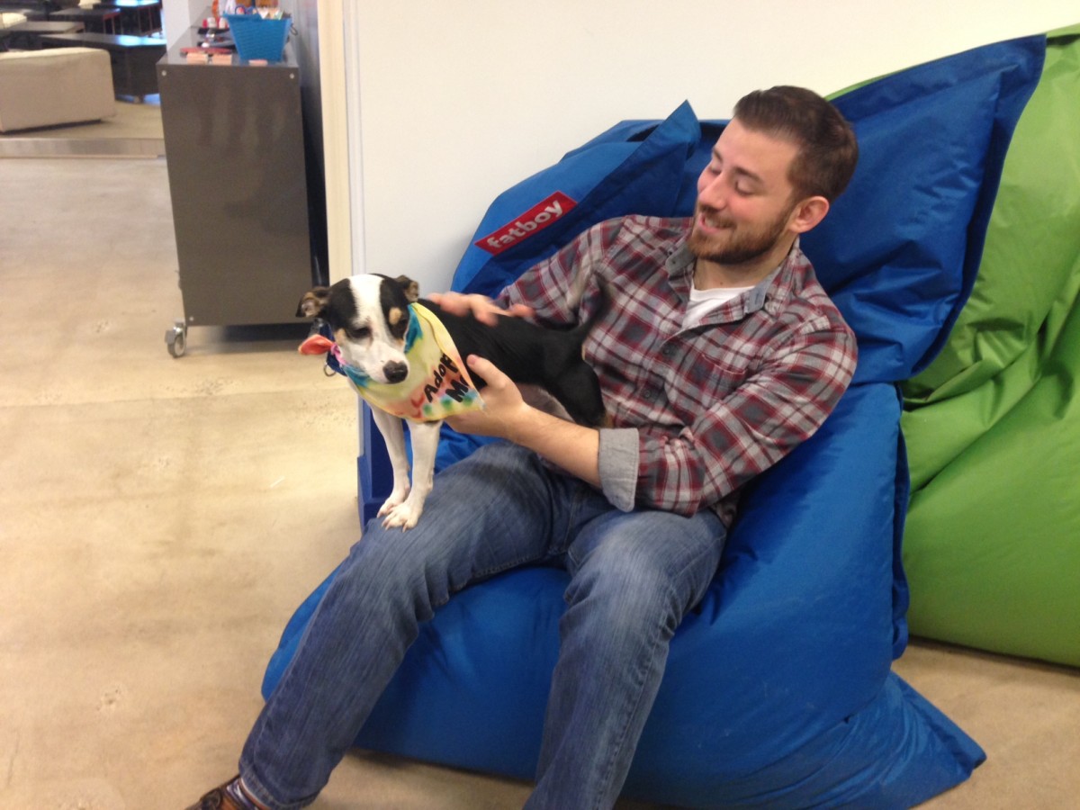Ryan Harrington, education and nonprofit coordinator for 1313 Innovation, holds Bella the puppy at the office.