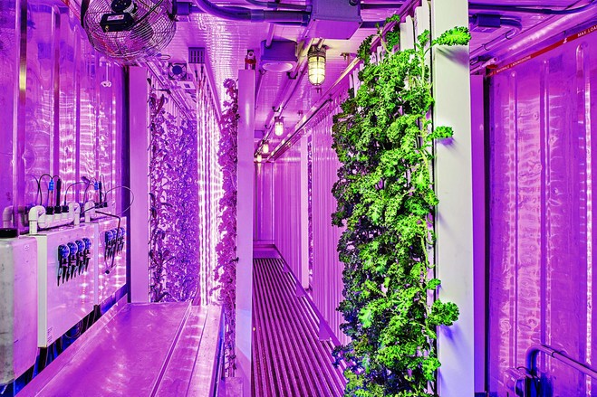 One of Square Roots’ vertical hydroponic farms.