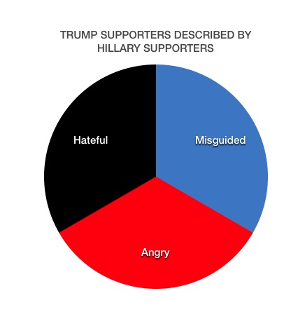 Trump supporters described by Hillary supporters