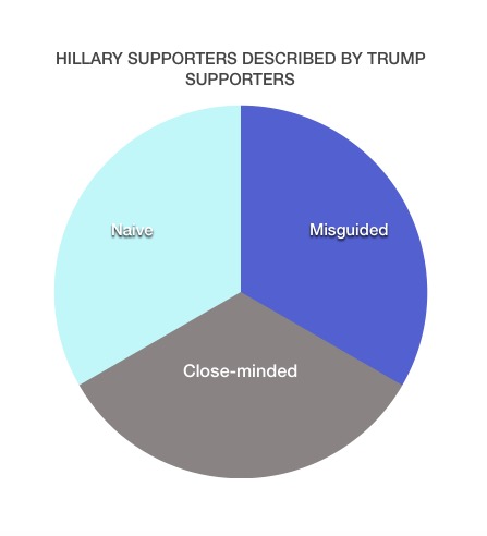 Hillary supporters described by Hillary supporters.
