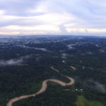 This startup is using drones to save the rainforest