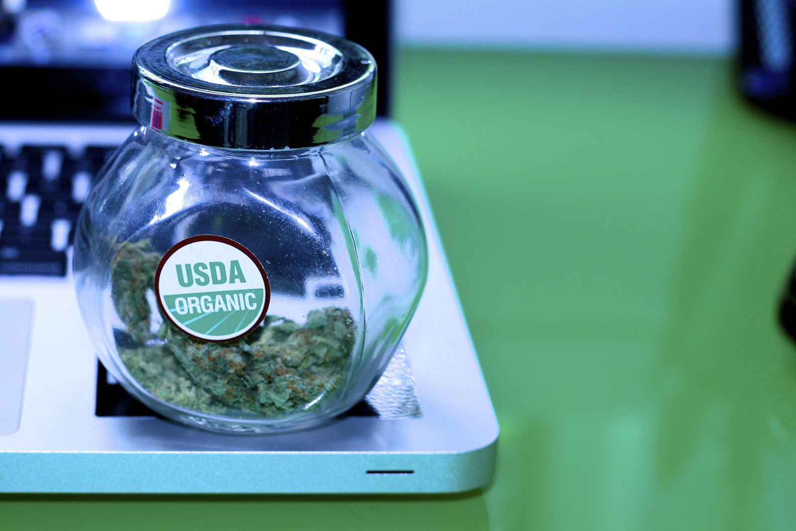 The future of weed seems to be legal, and tech-savvy.