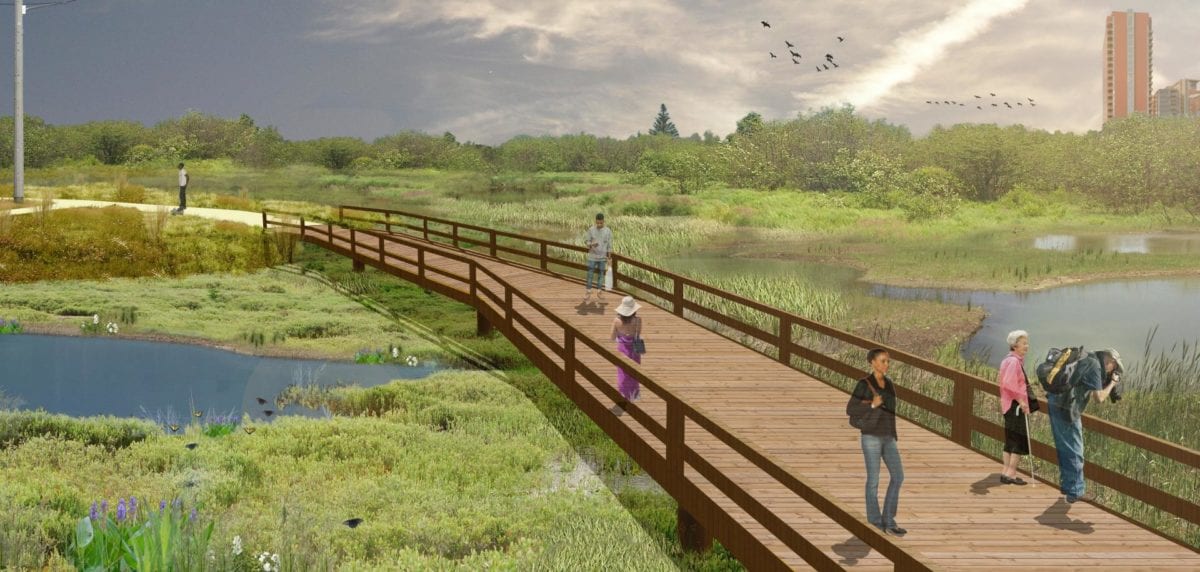 Artist rendering of a  restored 14-acre freshwater tidal wetland habitat in South Wilmington, complete with a trail system. 