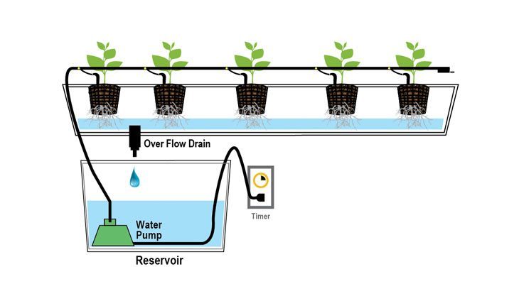 The drip system