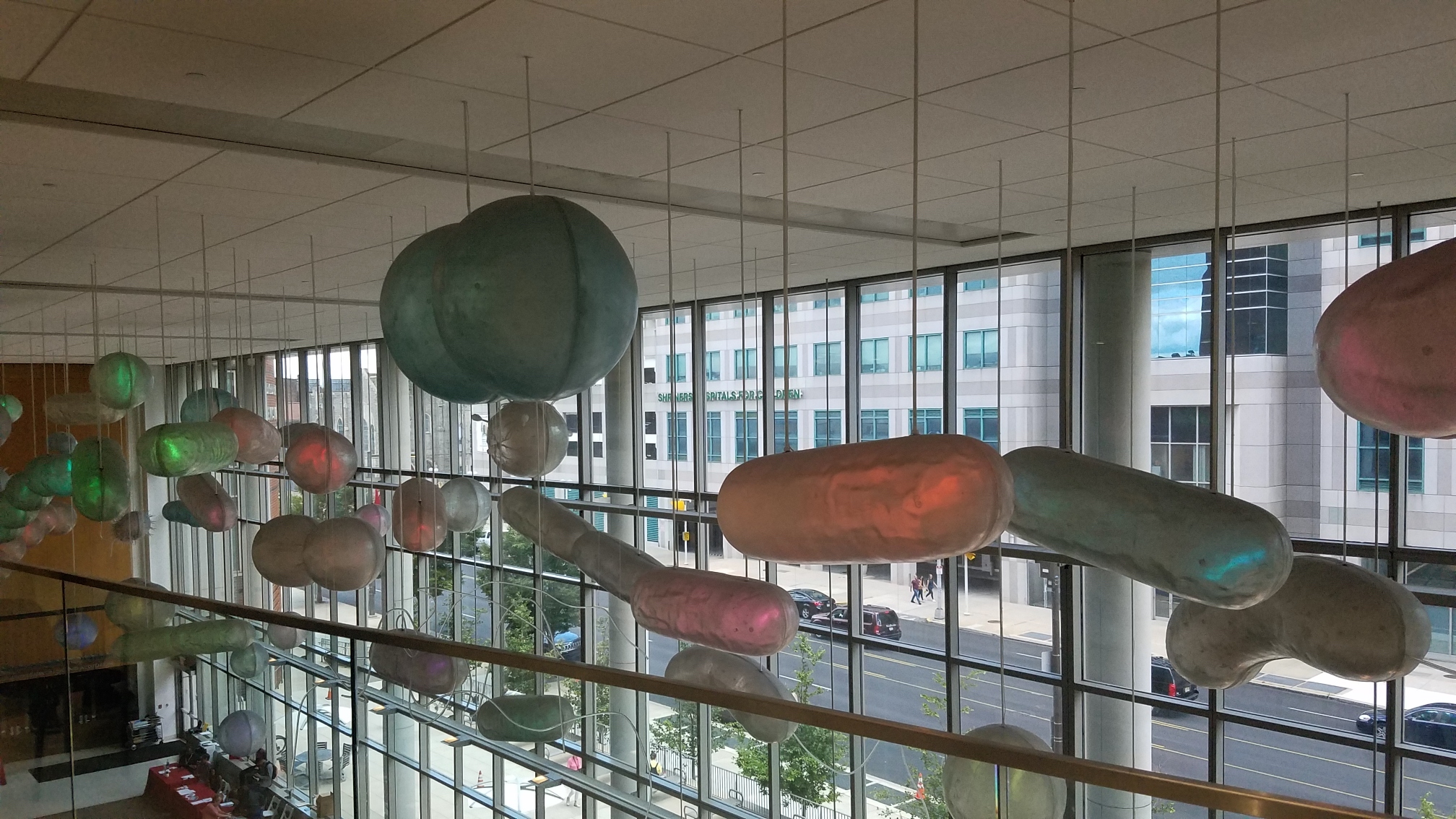 Sculptures of cells hanging in the lobby of Temple's school of medicine.