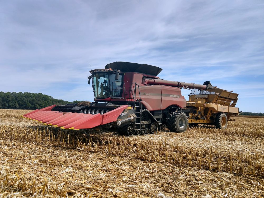 Bock's Geringhoff Rota Disc combine.