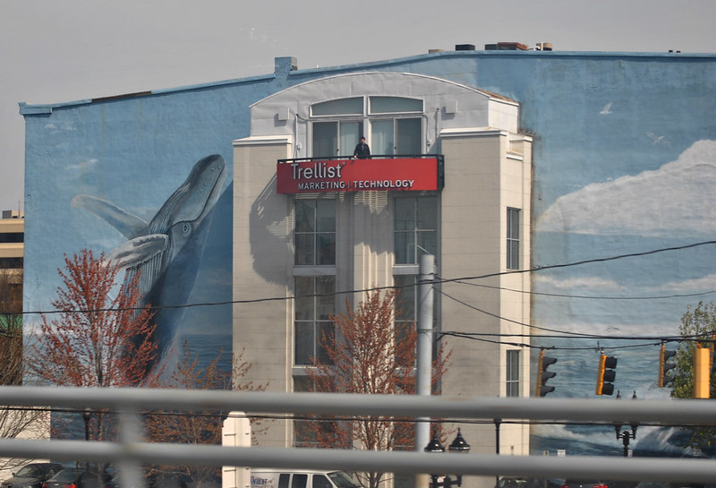 The Trellist building, with a mural of a whale