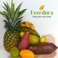 Everdura Logo