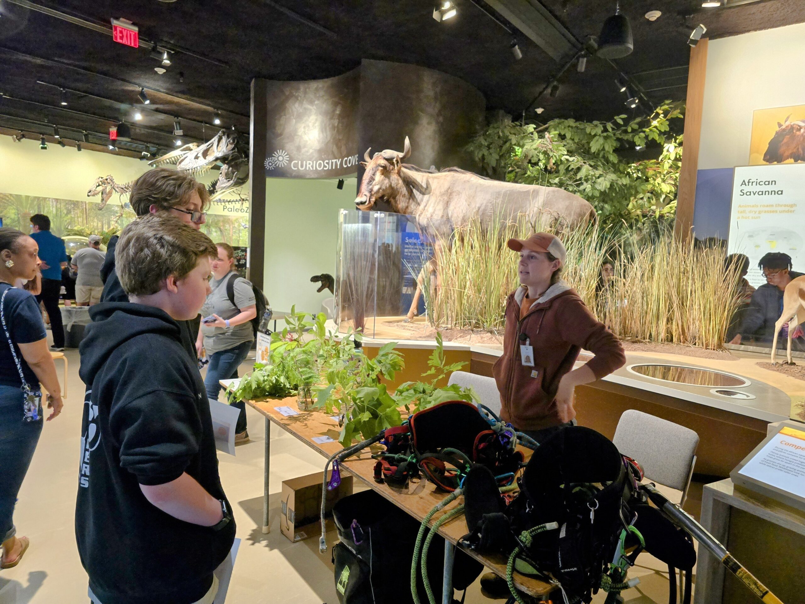 A museum staff member in a uniform talks to visitors in an exhibition area featuring a diorama with an animal display and various informational signage. Visitors observe and engage with the displays.