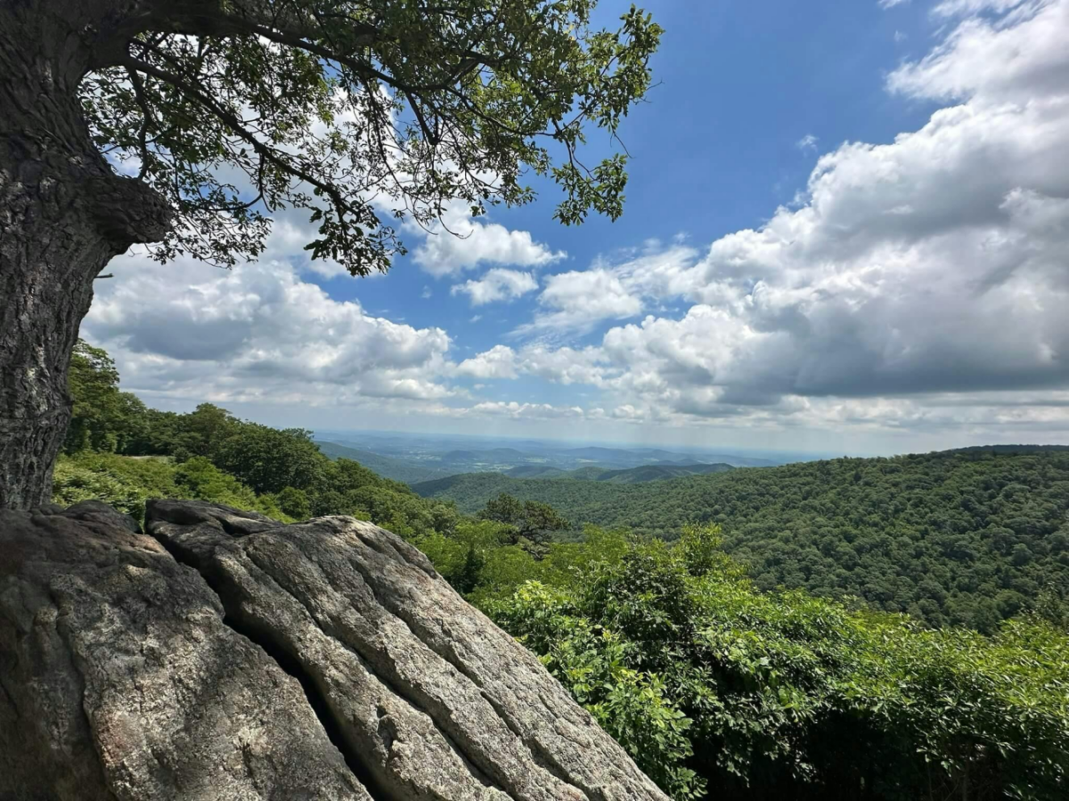 A canopy of green trees rolls over hills below a blue sky with grey clouds.