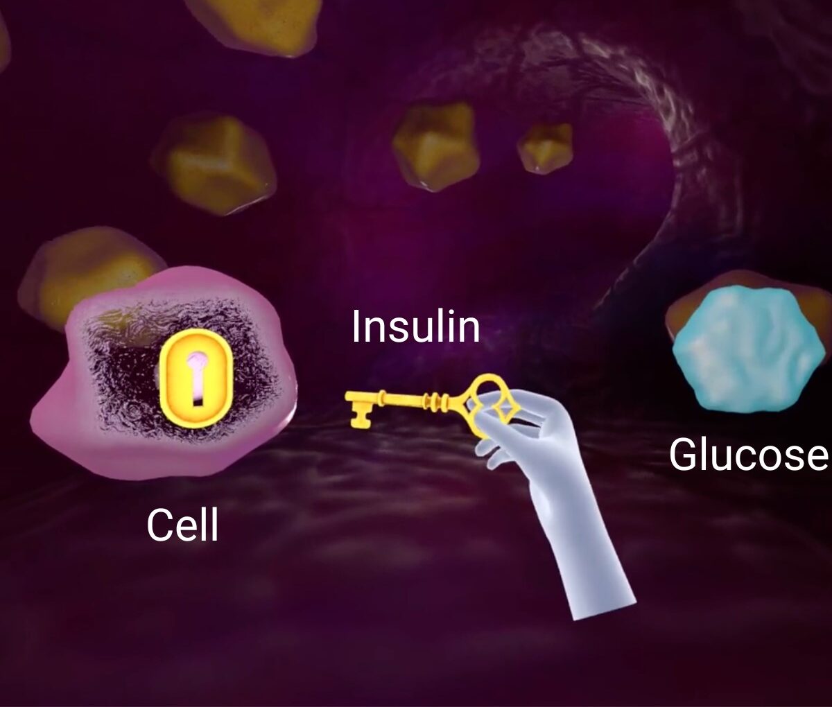 Illustration showing a hand holding a key labeled “Insulin” towards a cell with a keyhole, and a glucose molecule nearby.