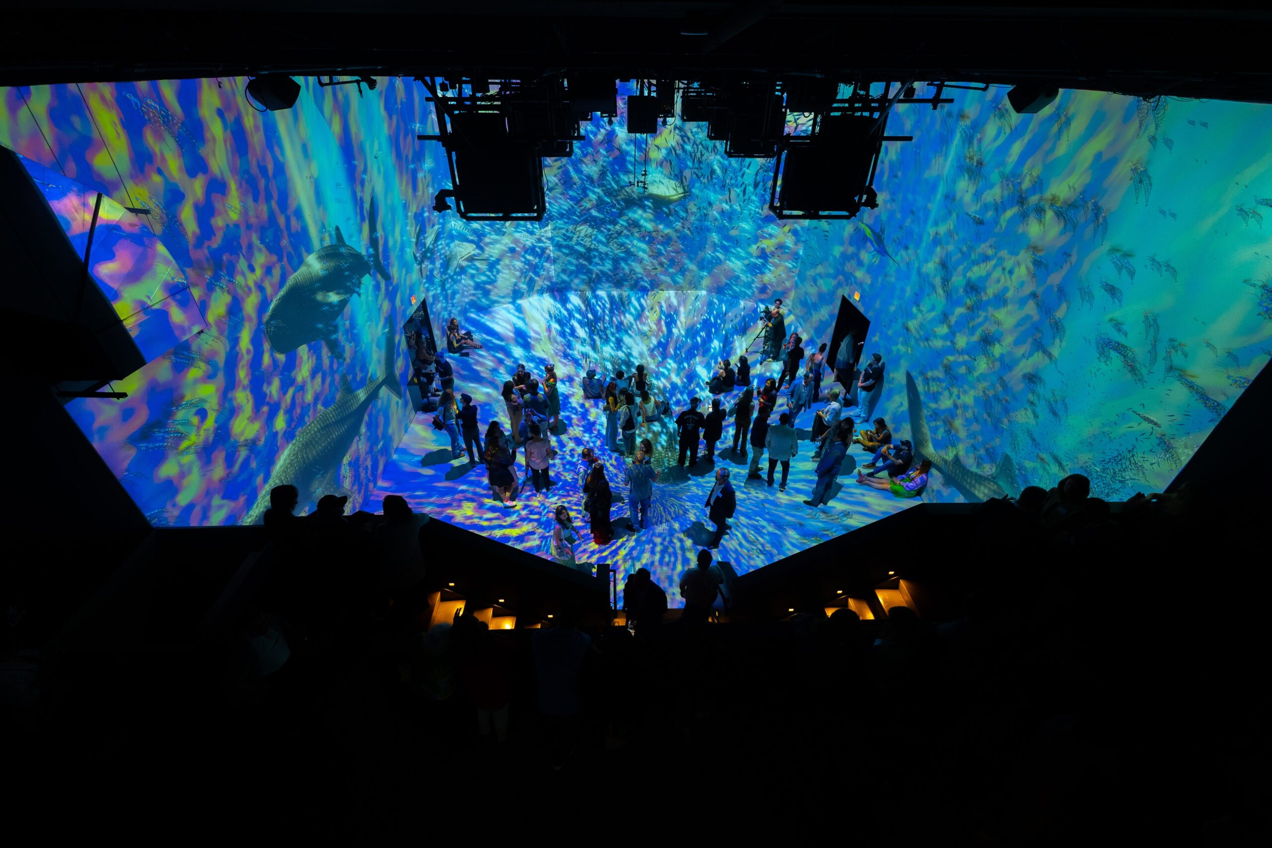 A crowd stands immersed in an AR exhibit showing the ocean and fish in blue, brown and yellow hues.