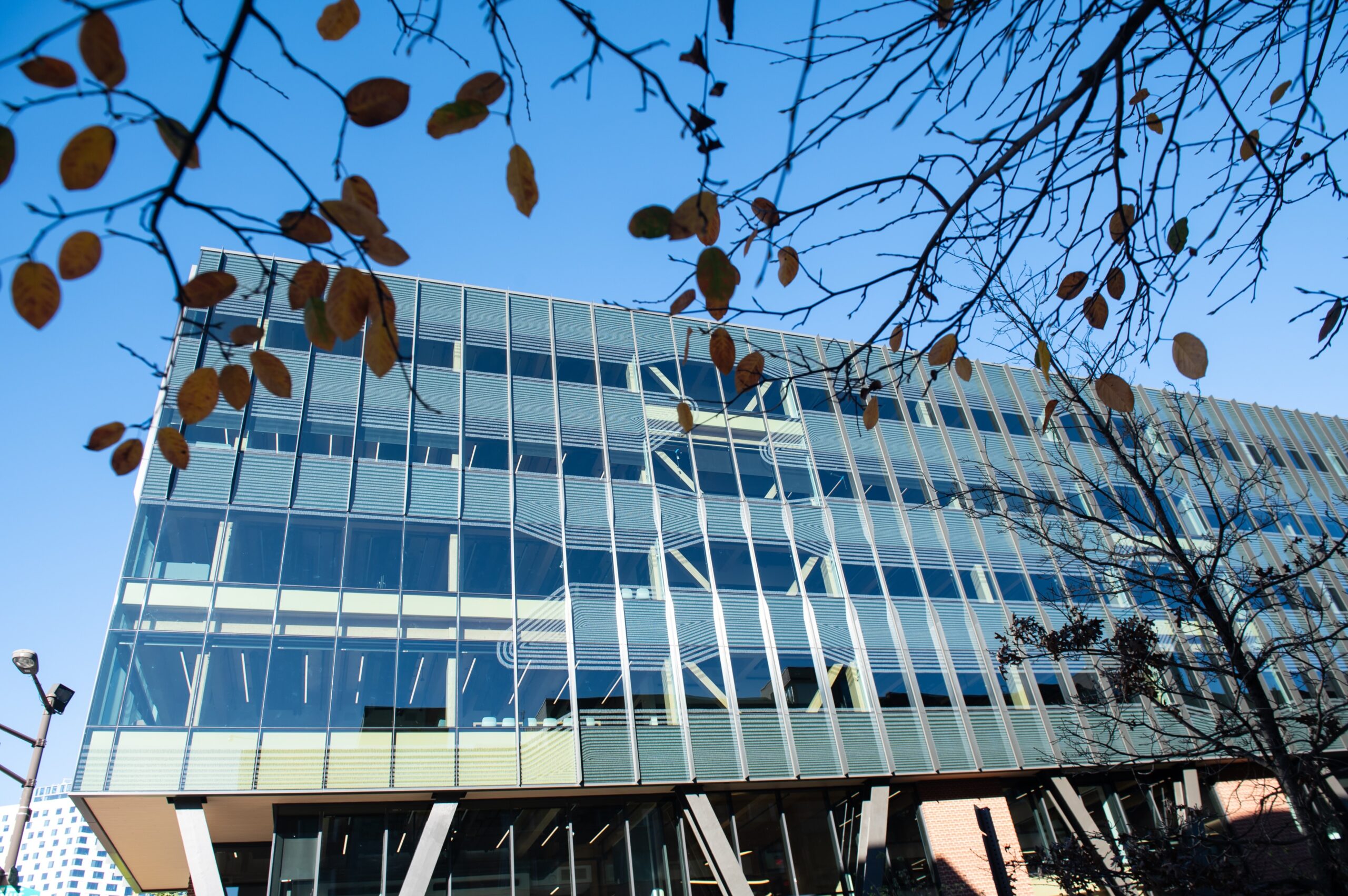 Modern glass office building with a grid-like facade, viewed from below. Bare tree branches with brown leaves are in the foreground against a clear blue sky.