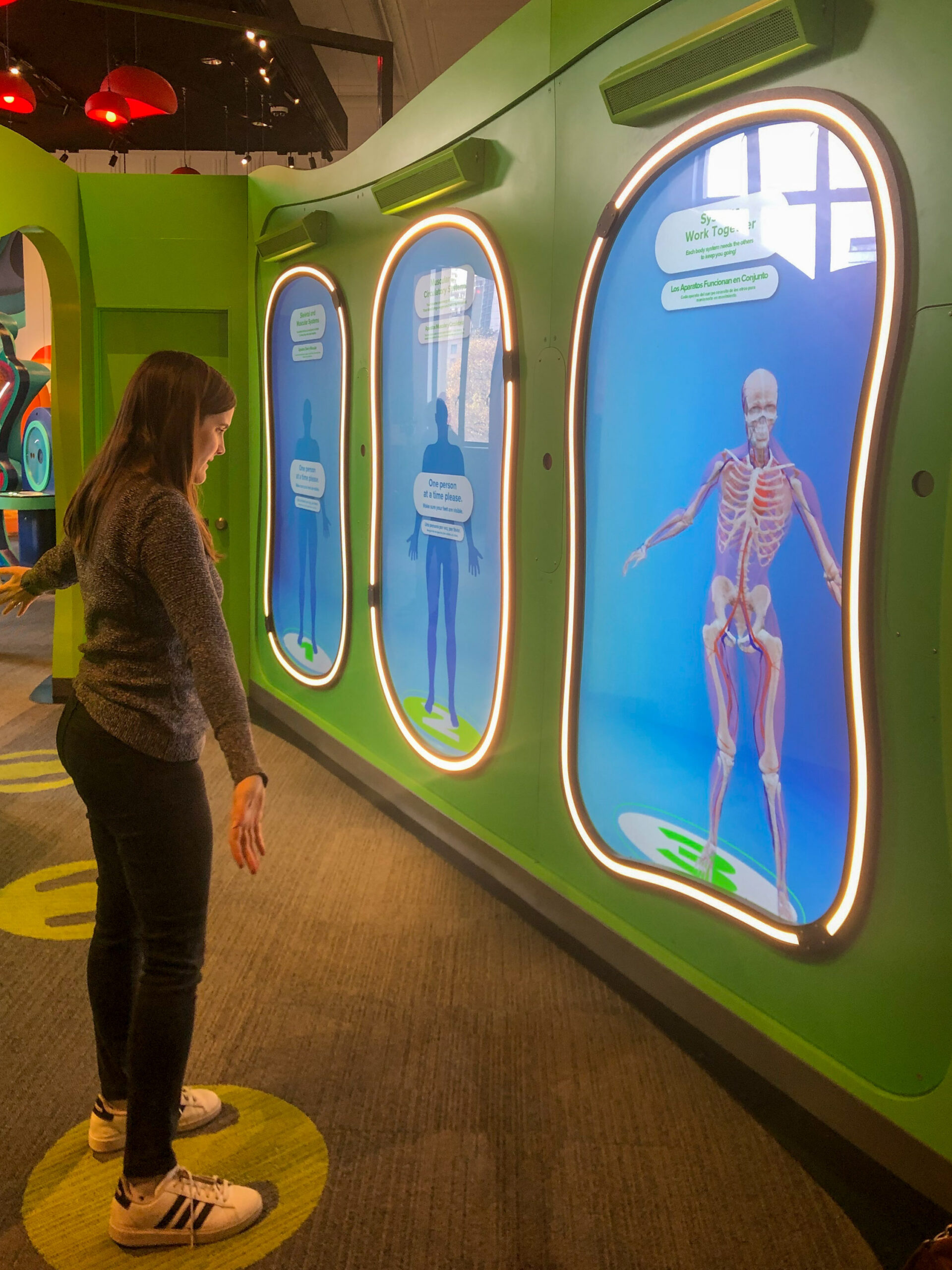 A woman interacts with a digital display showing a human anatomical model in a science exhibit.