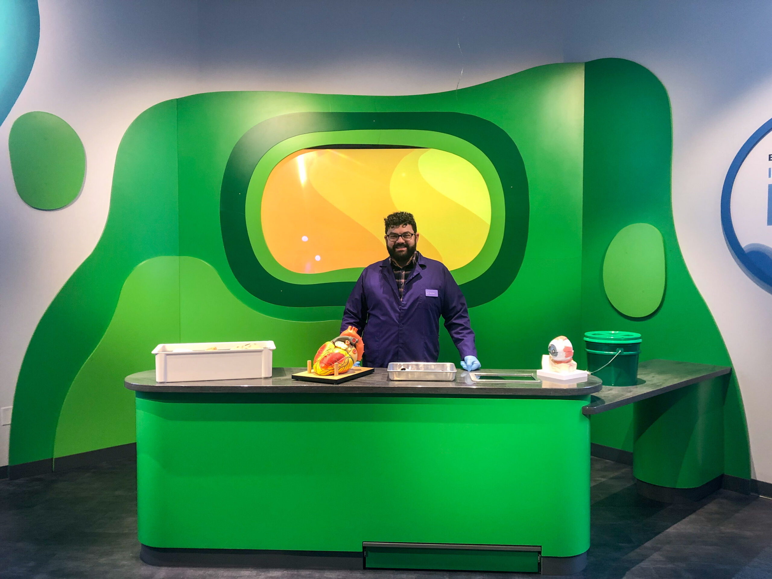 A person stands behind a green counter with anatomical models and teaching materials in a science exhibit setting.