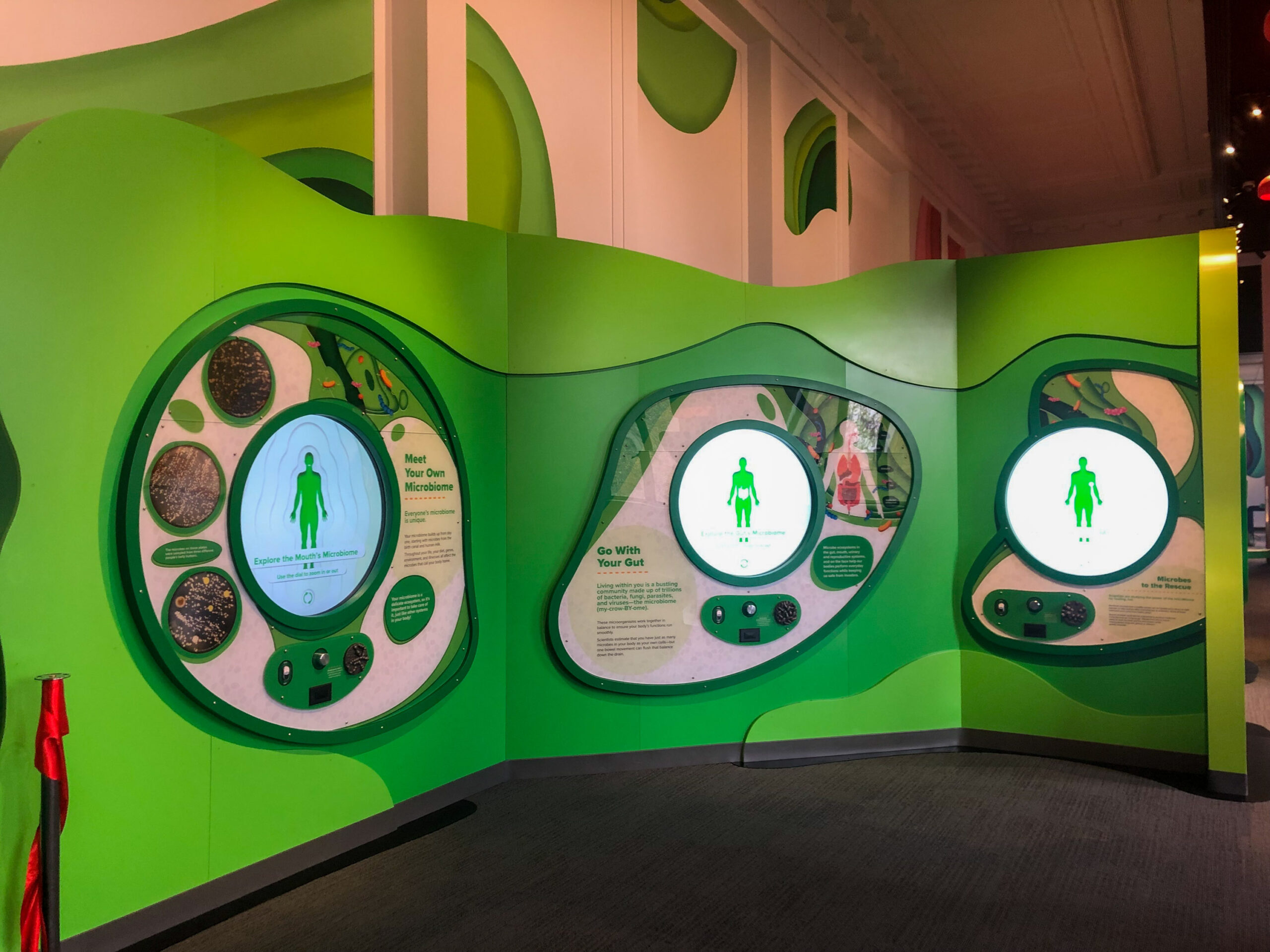 Interactive exhibit with green panels featuring screens and diagrams about the human body and diet, displayed in a brightly lit room.